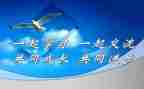 英语课改的心得体会5篇