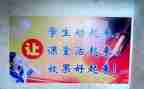 新课改的心得体会8篇