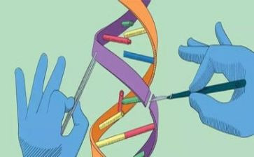 小学科学教学工作计划范文5篇