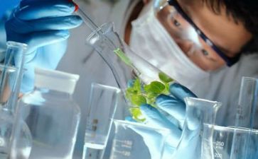 教师个人科研工作总结6篇