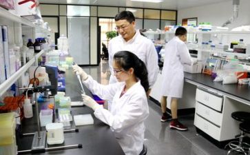 科研工作总结优秀8篇