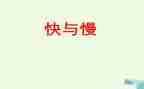 快与慢高中作文800字推荐5篇