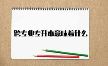 跨专业工作总结5篇