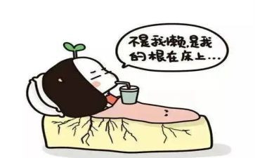 勤蚂蚁与懒蚂蚁作文优质6篇