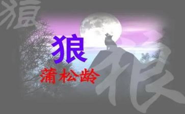 《狼》读后感作文模板8篇