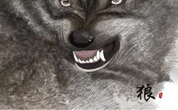 《狼》的读后感600字通用7篇