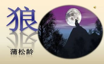 《狼》的读后感600字最新6篇