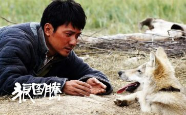 狼图腾读书心得体会800字8篇