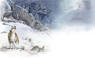 《狼王梦》的读书心得优秀5篇