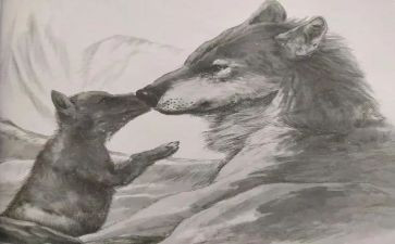 《狼王梦》的读书心得5篇