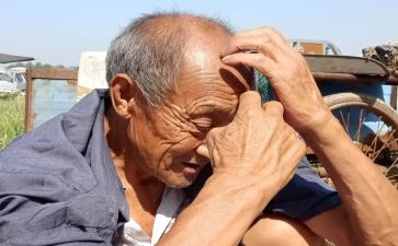 孤寡老人调查报告8篇