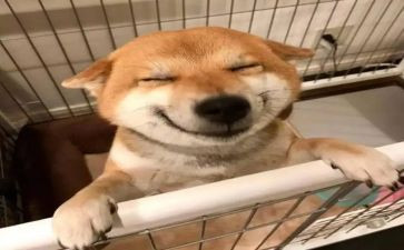读书乐作文600字8篇