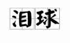 我的泪作文400字5篇