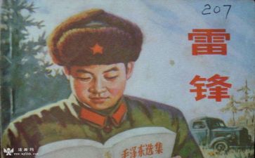 雷锋月工作总结7篇