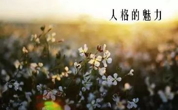 科技的魅力作文7篇