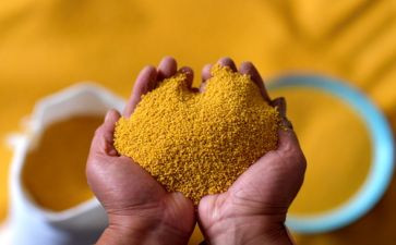 粮食日活动策划8篇