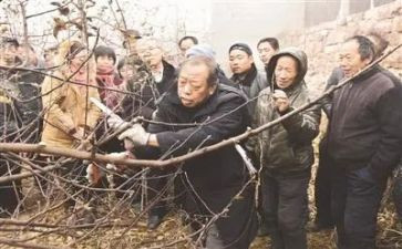 观看《李保国》心得体会5篇