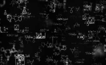 理化组的工作总结6篇