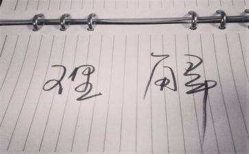 对和理解的作文5篇