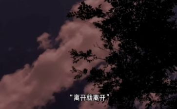 最不想离开的人作文7篇