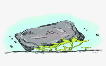 2024中国力量心得体会7篇