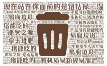 垃圾分类活动教案8篇