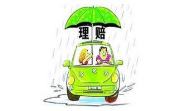 理赔工作总结个人总结6篇