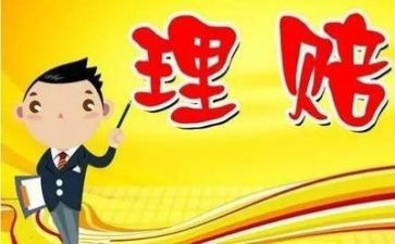 保险理赔工作总结优质5篇