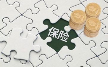 保险公司理赔年度总结7篇
