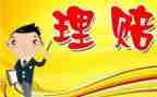 保险理赔工作总结优质5篇