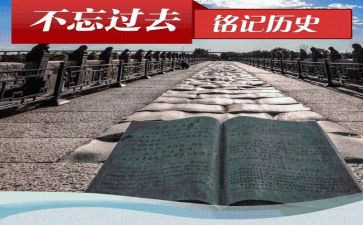 历史心得体会模板5篇