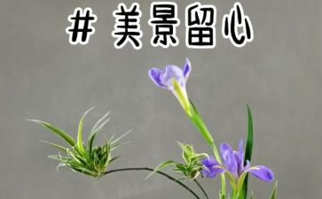 《处处留心皆学问》作文7篇