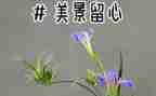 《处处留心皆学问》作文7篇