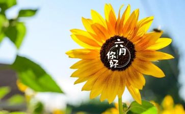 六月份工作总结6篇