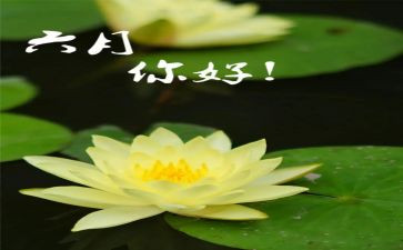 六月份工作总结优秀5篇