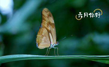 六月安全心得体会5篇