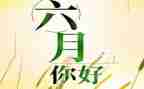 幼儿园2024年六月份工作总结精选6篇