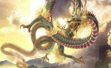 赵子龙的心得体会模板7篇