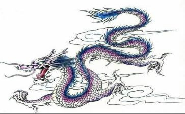 画龙舟的作文通用5篇