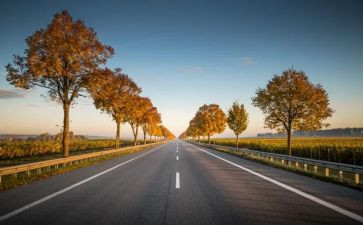 道路安全交通教育心得体会7篇