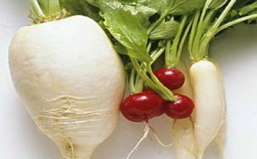 种萝卜的教案优秀6篇