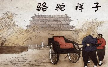 读骆驼驼祥子心得体会优质5篇