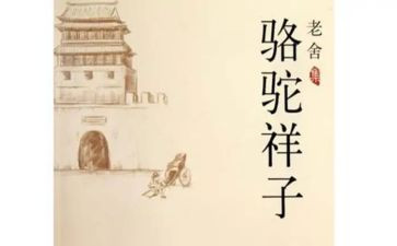 骆驼与祥子心得体会最新8篇