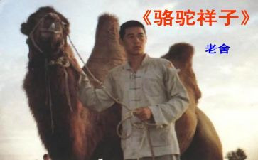 骆驼祥子心得体会精选6篇