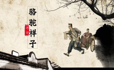 读骆驼驼祥子心得体会8篇