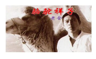 骆驼湾学习心得体会5篇
