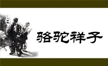 读骆驼驼祥子心得体会推荐7篇