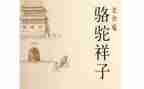 骆驼与祥子心得体会最新8篇