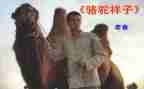 骆驼祥子心得体会精选6篇