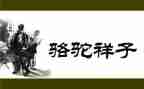 《骆驼》读后感模板6篇